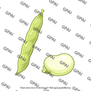 Faba bean pod 87