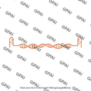 Aav genome ssaav