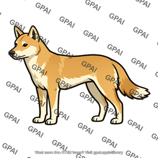 Dingo