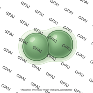 Diplococcus enveloped