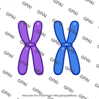 Chromosome pair