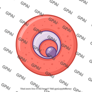 P ovale 1 ring form