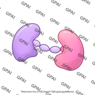 Hiv reverse transcriptase