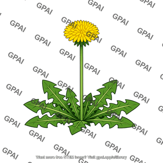 Dandelion
