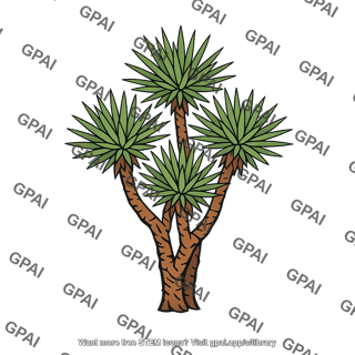 Yucca plant branched
