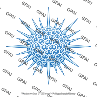 Radiolarian