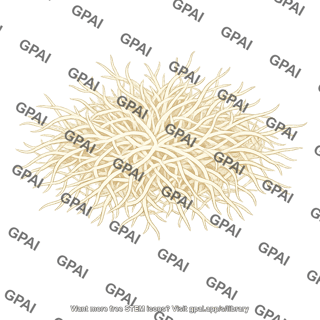 Fungus mycelium