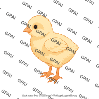 Chicken chick