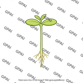 Seedling