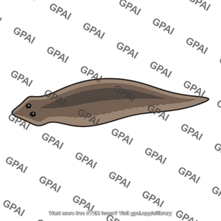 Planarian