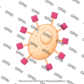 Yeast display square