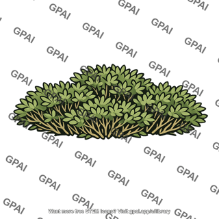 Shrubland biome shrubs