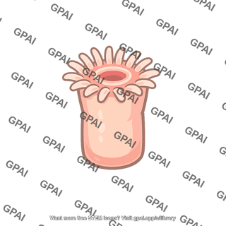 Coral polyp