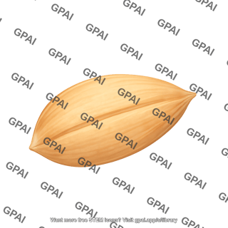 Wheat grain