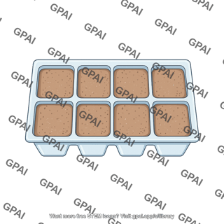 Plant growth tray top view