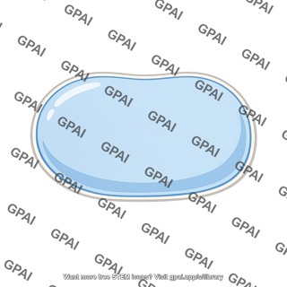 Vacuole