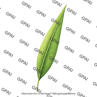 Leaf long 1