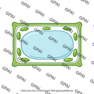 Plant cell