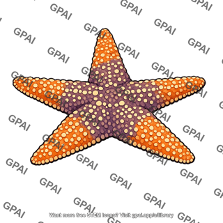 Sea star pisaster