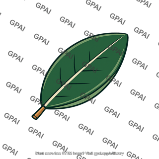 Sclerophyllous leaf