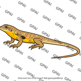 Side blotched lizard male yellow morph