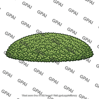 Tundra plant cushion