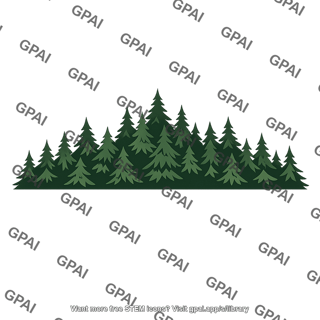 Coniferous forest canopy
