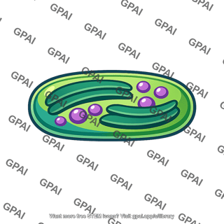 Photosynthetic bacterium