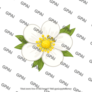 Strawberry plant flower