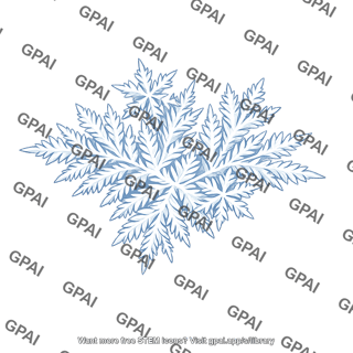 Frost