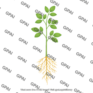 Soybean plant v7 with roots