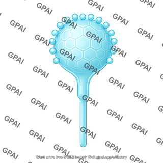Viral protein 1