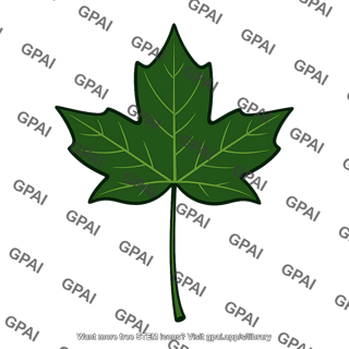 Green maple leaf