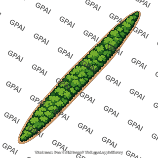 Forest strip aerial view