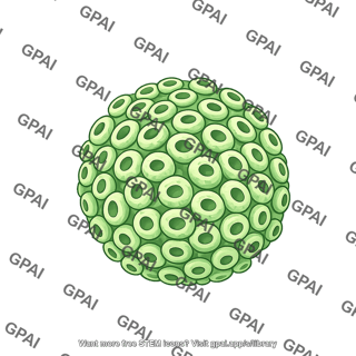 Rift valley fever virus