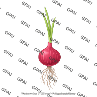 Onion with shoot and roots