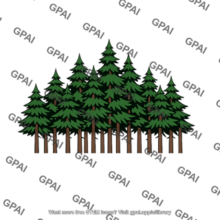 Temperate coniferous forest