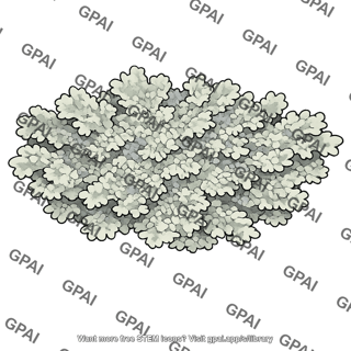 Lichen