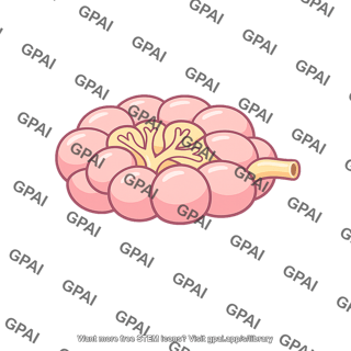 Salt gland lobed secretory unit