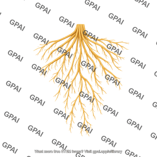 Rice roots