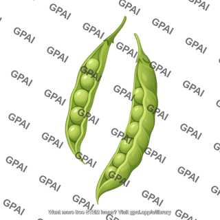 Pigeon pea pod