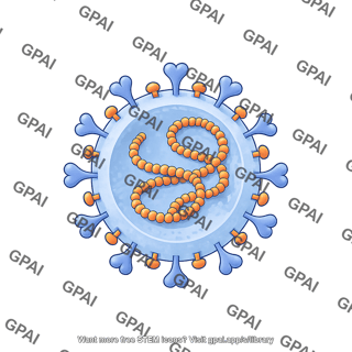 Coronavirus sars