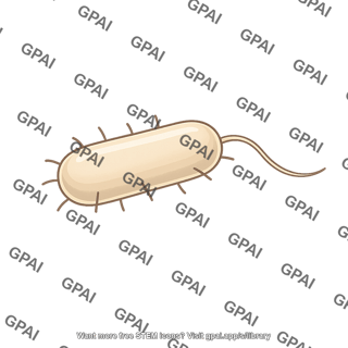 Bacterium