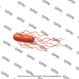 Salmonella