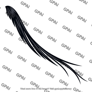 Long tailed widowbird tail