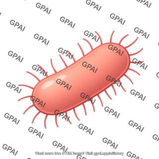 Bacillus pili