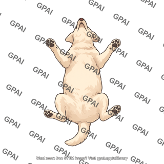 Dog supine