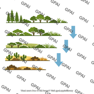 Vegetation zone southward