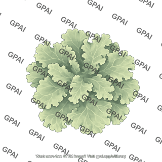 Parmotrema lichen