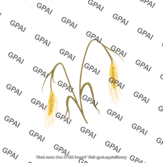 Wheat wilted